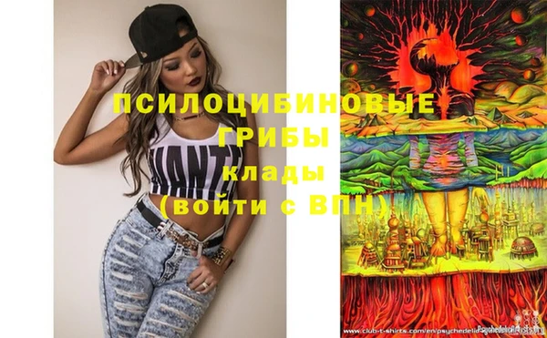 гашик Володарск