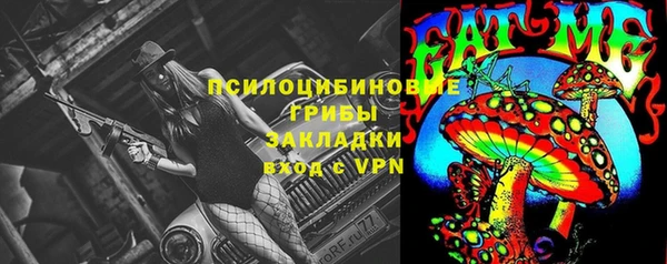 гашик Володарск